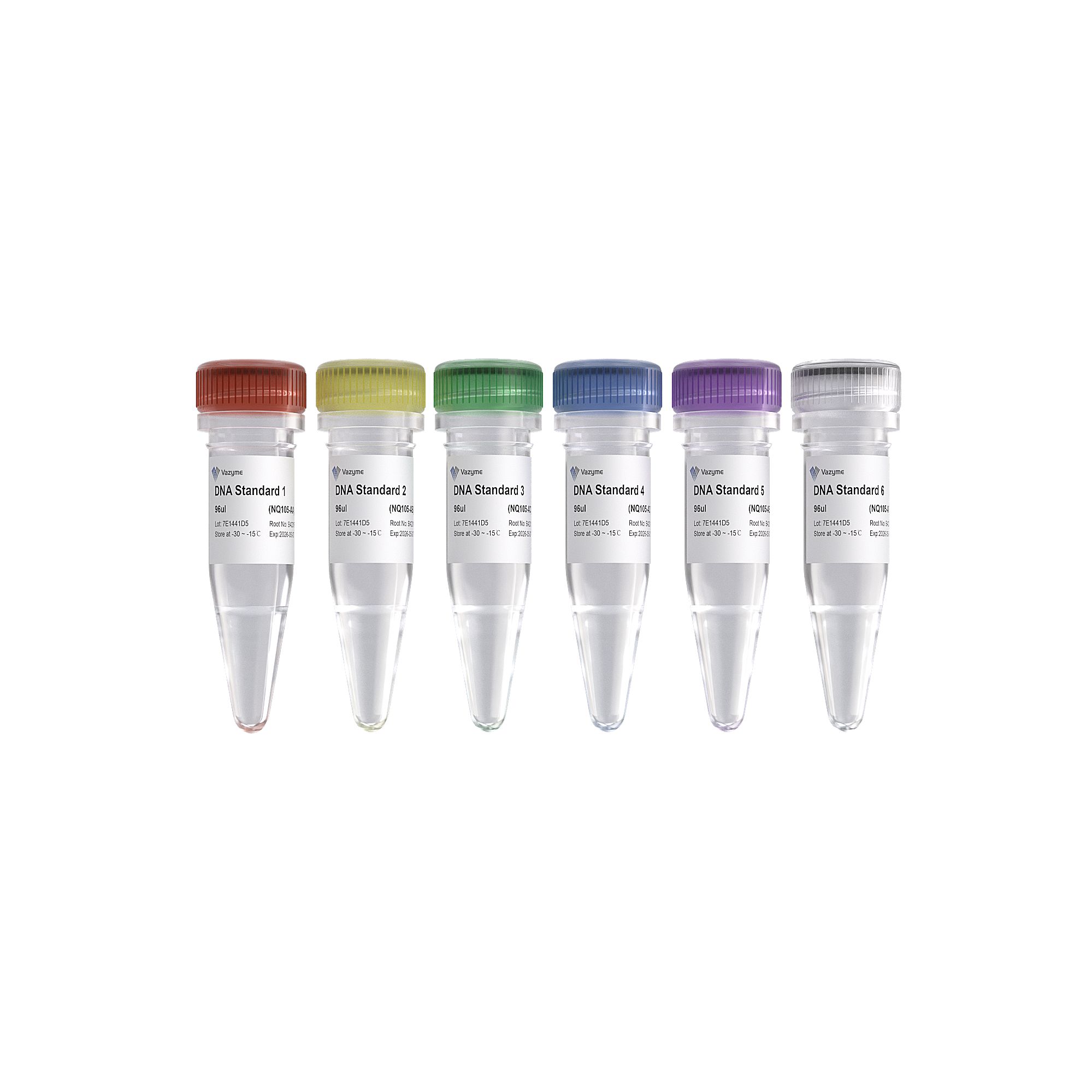 Vazyme VAHTS Library Quantification Kit for Illumina DNA Standard 1 - 6 (高通量测序文库浓度测定的专用试剂盒)(NQ105)