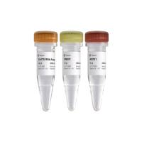 VAHTS RNA Multiplex Oligos Set1- Set2 for Illumina(Illumina高通量测序平台文库构建专用试剂盒)(N323/324)