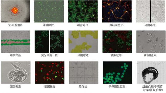 产品细节图片3
