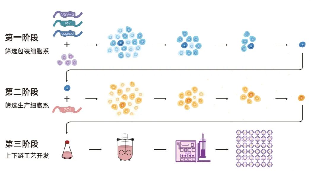 单细胞打印，加速In Vivo CAR-T抗癌新疗法