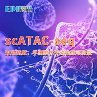 单细胞ATAC-seq：单细胞分辨率的染色质可及性，更高精度地探索细胞内部的调控机制 表观生物 表观生物​知乎知识会员