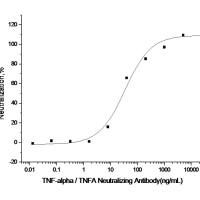TNF-alpha / TNFA Neutralizing Antibody | TNF-alpha / TNFA 中和抗体