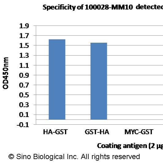 Anti-HA Tag Antibody, Mouse MAb | 抗 HA Tag 鼠单抗