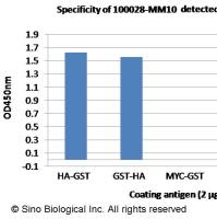 Anti-HA Tag Antibody, Mouse MAb | 抗 HA Tag 鼠单抗