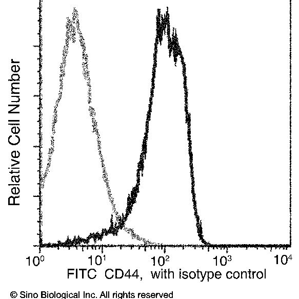 CD44 鼠单抗 (FITC)