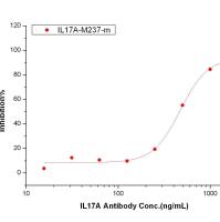 IL17 / IL17a 中和抗体