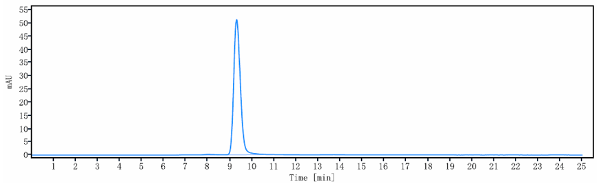 Anti-human LOXL2 (Simtuzumab B