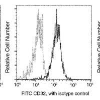 CD32/FCGR2/Fc gamma RII Antibody (FITC), Mouse MAb | CD32/FCGR2/Fc gamma RII 鼠单抗 (FITC)
