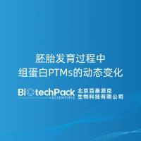 胚胎发育过程中组蛋白PTMs的动态变化