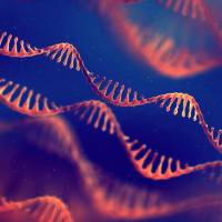 肿瘤longRNA-seq(mRNA,circRNA,lncrna)测序服务