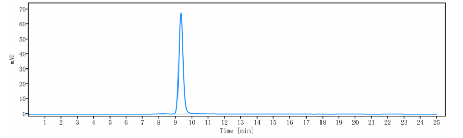 Anti-human CD19 (Immunomedics