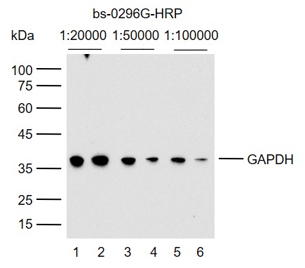产品细节图片11