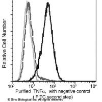 TNF-alpha / TNFA / TNFSF2 Antibody, Mouse MAb | TNF-alpha / TNFA / TNFSF2 鼠单抗