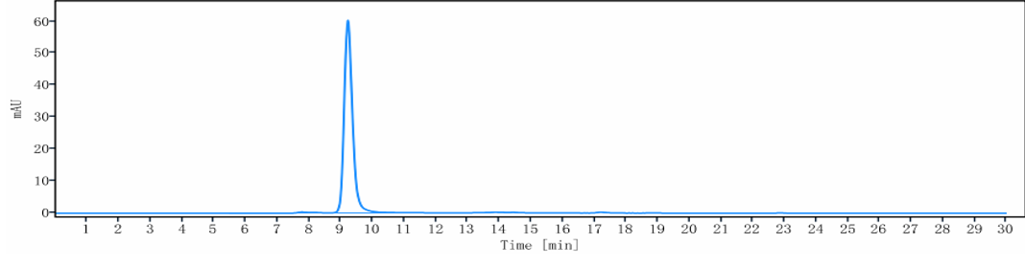 Anti-human ERBB3 / HER3 (Patri