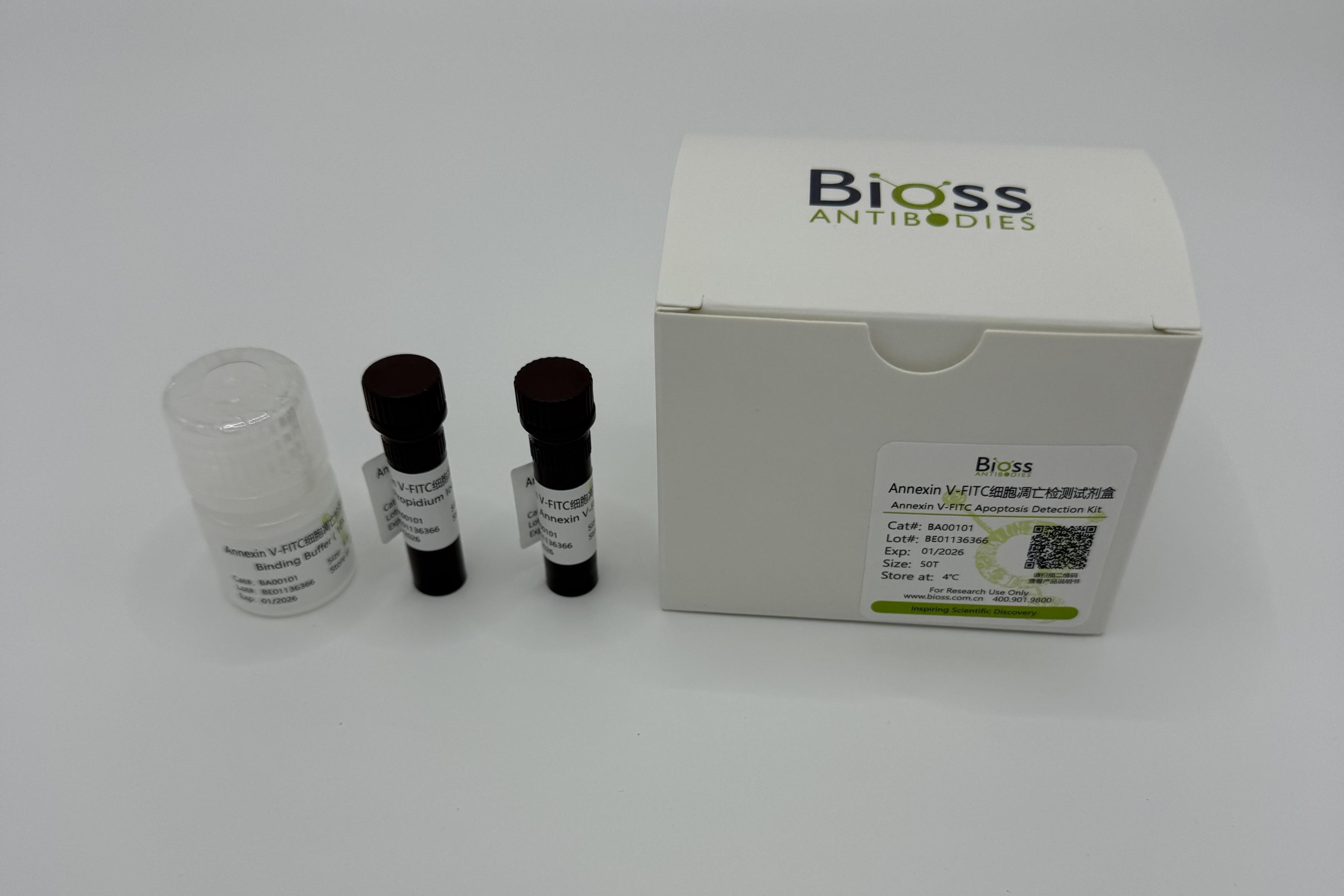 Annexin V-FITC Apoptosis Detec