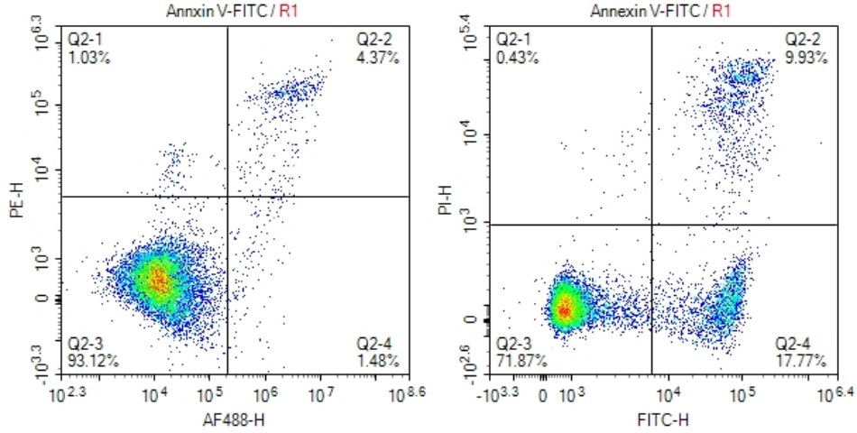 Annexin V-FITC Apoptosis Detec
