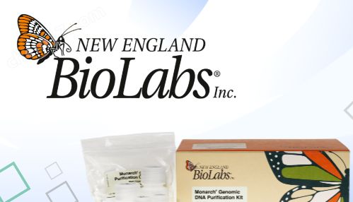 NEB代理——柏莱源（天津）生物科技有限公司