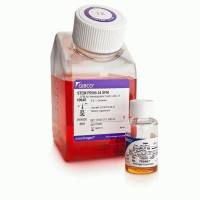 Gibco StemPro™-34 SFM (1X)干细胞培养基10639011