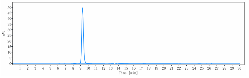 Anti-human TIGIT (Domvanalimab
