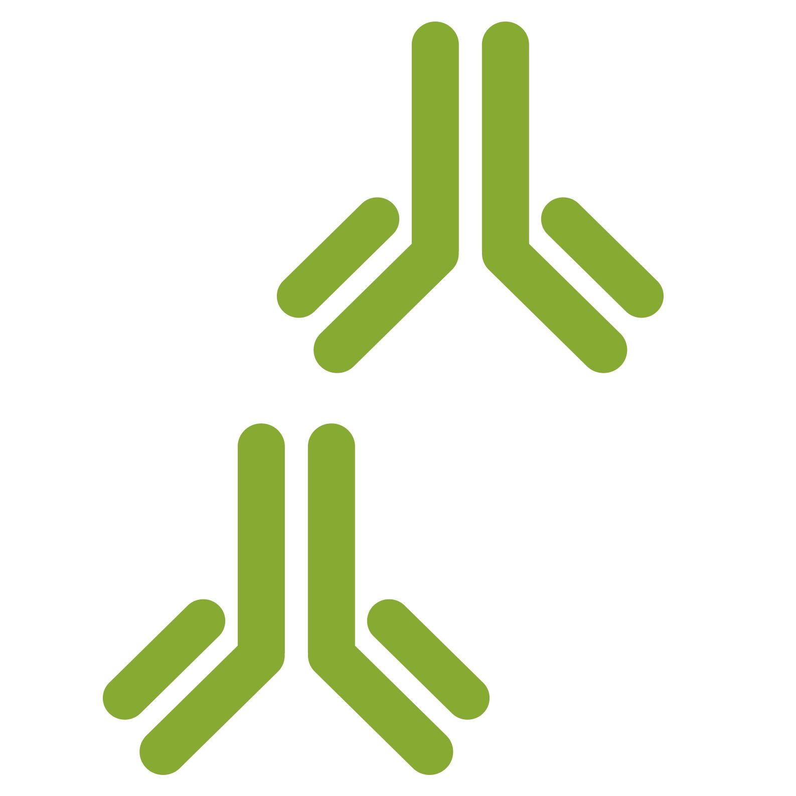 Mouse Anti-Bovine IgG H&L, BF488 conjugated(bs-0326M-BF488)-100ul/1ml