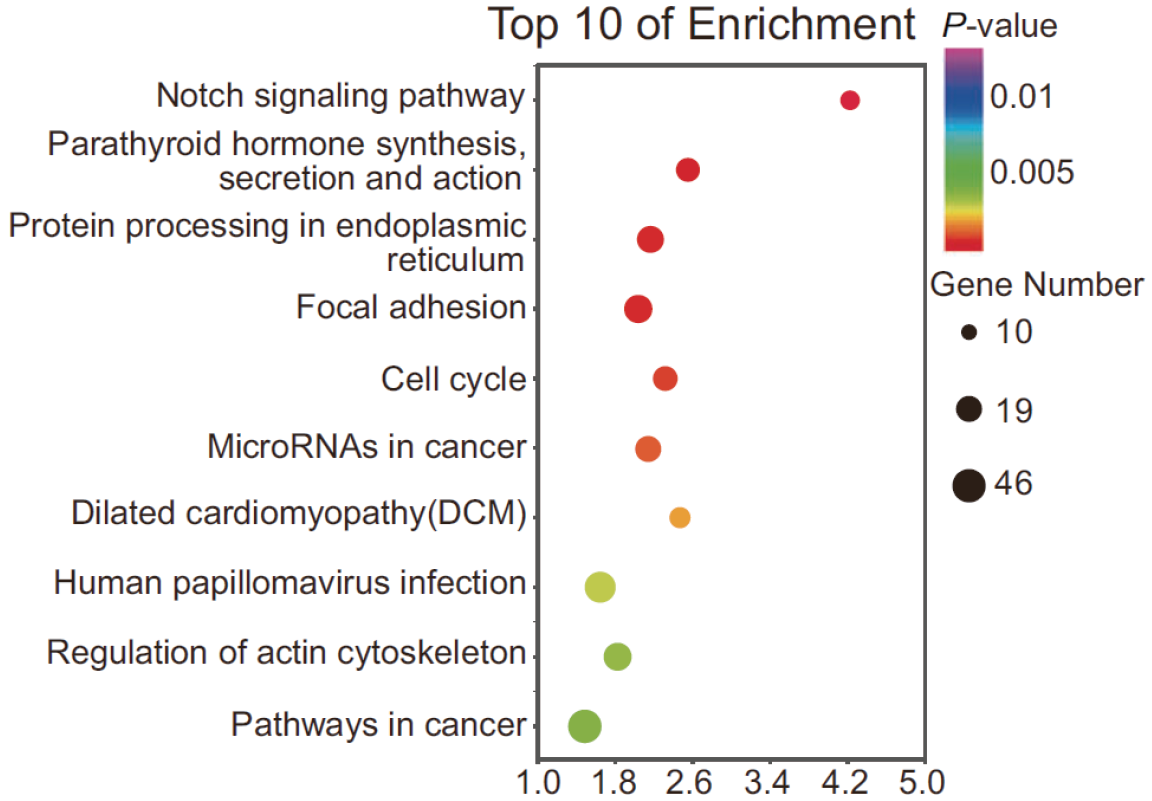 产品细节图片10