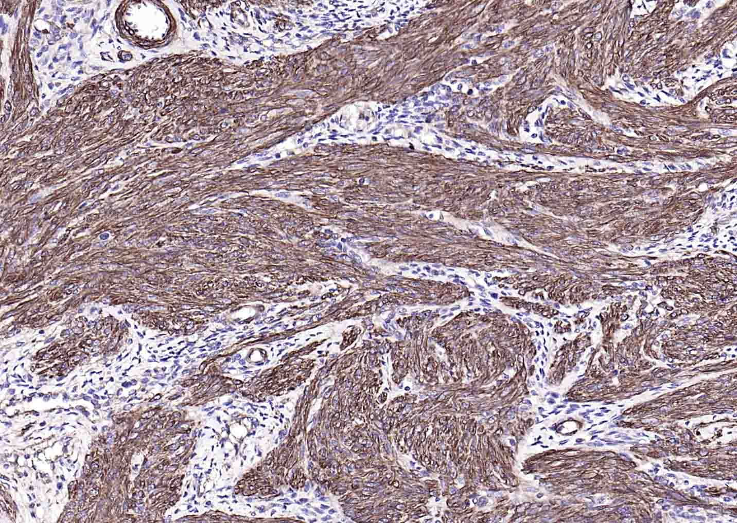 产品细节图片10