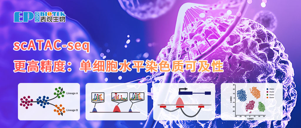 单细胞ATAC-seq：单细胞分辨率的染色质可及性，更高精度