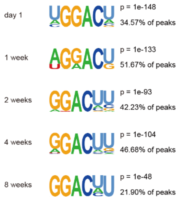 产品细节图片16