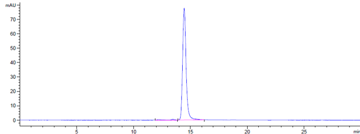 Anti-human CLDN6 (AB1-11 Biosi