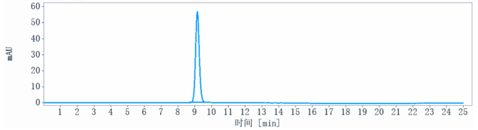 Anti-human ERG (Jackson Founda
