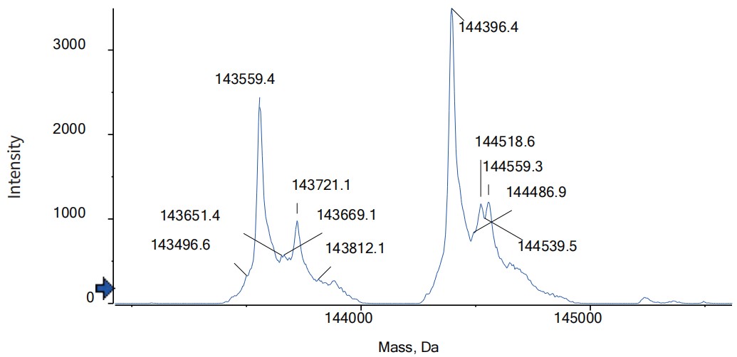 Anti-CA125 & CD3 Reference Ant