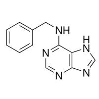 6-苄氨基嘌呤.