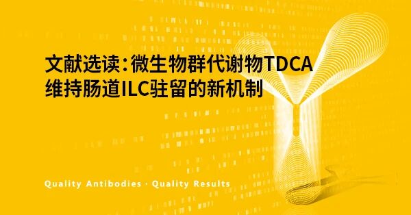 微生物群代谢物TDCA维持肠道ILC驻留的新机制.jpg