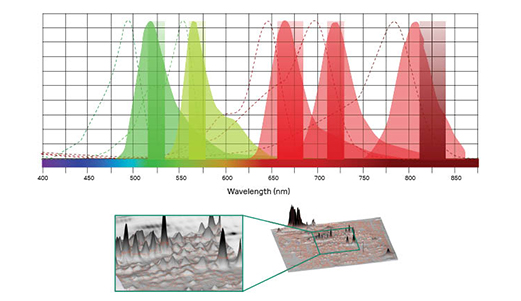 Amersham Typhoon™ 激光扫描成像仪