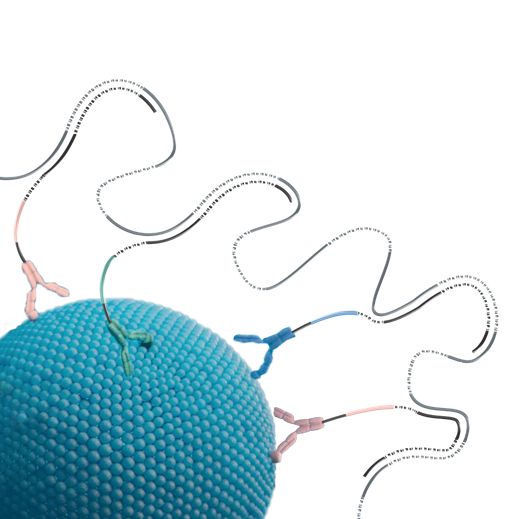 PBA单外泌体蛋白组