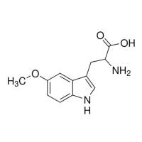 5-甲氧基- DL -色氨酸