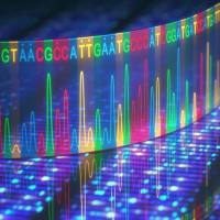 拼团低价 | 3'转录组测序DRUG-seq团购价仅需¥199元/样本！降至冰点，三人成团！