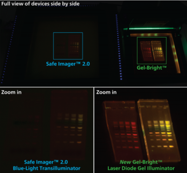 Biotium丨艾美捷代理Gel-Bright激光二极管凝胶照明器，确保光照均匀