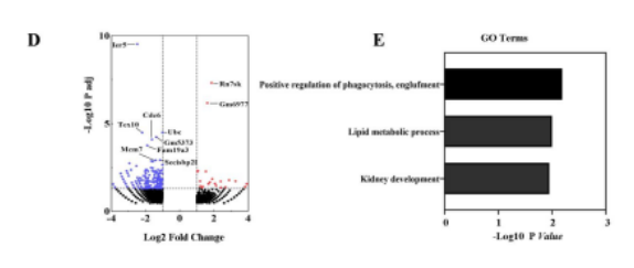 产品细节图片10