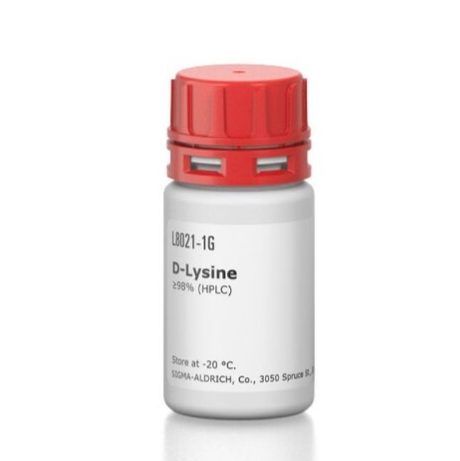 D -赖氨酸