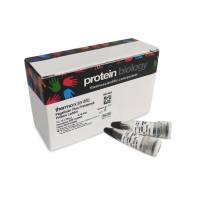 预染蛋白marker （10-180KD）