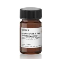 两性霉素B 来源于链霉菌 属