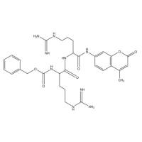 Z-精氨酸-精氨酸-7-酰氨基-4-甲基香豆素 盐酸盐