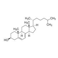 7-脱氢胆固醇