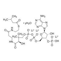 异戊酰辅酶 A 锂盐 水合物