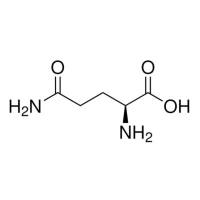 L -谷氨酰胺 溶液