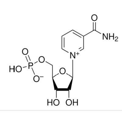 β-烟酰胺单核苷酸