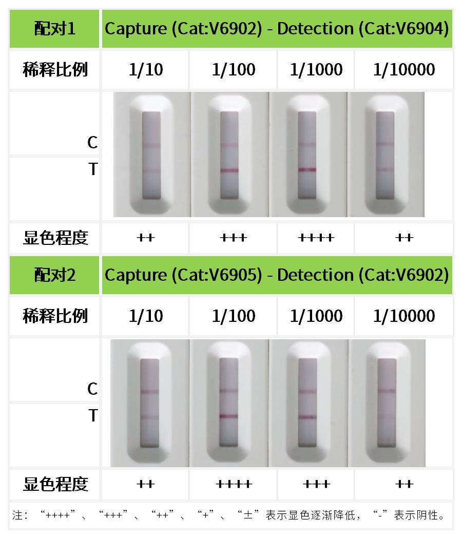 重点推荐 | 高灵敏度DBP配对抗体！