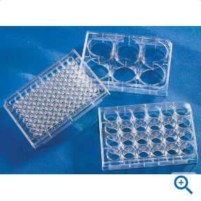 24孔板，未处理表面，带盖，灭菌