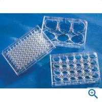 24孔板，未处理表面，带盖，灭菌